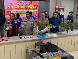 Kronologi Lengkap Ditemukannya Ladang Ganja di Bone
