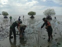 Jaga Keseimbangan Alam, Koramil 13/Sibulue Bersama Warga Tanam Mangrove