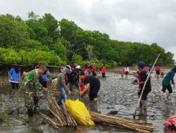 KSR PMI IAIN Bone Gelar Penyuluhan Erosi dan Penanaman Mangrove di Mare