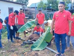 Pasukan Merah TAB DPC Tanjung Redeb Berkurban 2 Ekor Sapi dan 1 Kambing