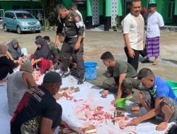 Denpom XIV/1 Bone Berkurban 1 Ekor Sapi di Idul Adha 1444 H