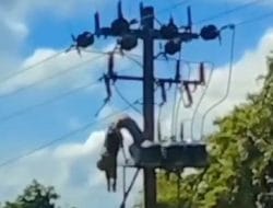 Teknisi Wifi Tersengat Listrik di Bone, Begini Kondisinya