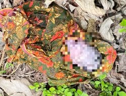 Mayat Bayi Perempuan dalam Sarung Gegerkan Warga Desa Awo Bone