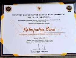FOTO: Bupati Bone Terima Penghargaan TIPD Terbaik Sulawesi, Ini Rincian Keberhasilannya