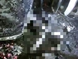 Kecelakaan Tunggal di Bone, Penumpang Hangus Terbakar