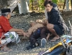 Pemotor Anak di Bawah Umur di Bone Tewas Setalah Adu Banteng dengan Mikrolet