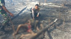 Terjebak Kebakaran Lahan di Bone, Seorang Petani Tewas Terpanggang