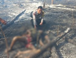 Terjebak Kebakaran Lahan di Bone, Seorang Petani Tewas Terpanggang