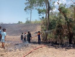 TNI dan Damkar Gerak Cepat Padamkan Kebakaran Lahan di Sibulue Bone