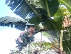 Kades Tak Suka Pisang: Copot Pj Gubernur Sulsel!