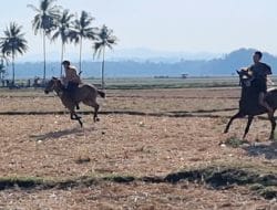 20 Ekor Kuda Meriahkan Lomba Pacuan Kuda di Desa Corawali Bone