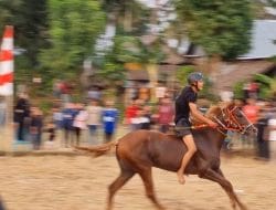 FOTO: Pemenang Lomba Pacuan Kuda di Desa Corawali Bone