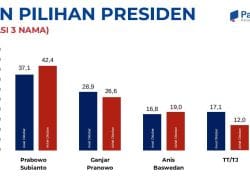 Hasil Survei Patra Data: Prabowo Makin Unggul dari 2 Nama Bacapres