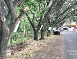 Sejumlah Masyarakat Nilai Minus Caleg Memaku APK di Pohon