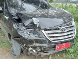 Alami Pecah Ban, Mobdin Kadis Perikanan Bone Tabrak Pohon