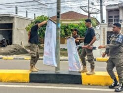 Melanggar! APK yang Terpasang di Pohon dan Tiang Listrik di Bone Ditertibkan