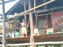 Rumah dan Ladang Warga di Bone Rusak Diterjang Angin Kencang