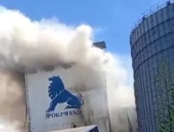 Pabrik Penghasil Pakan Ternak di Makassar Terbakar, 1 Orang Dinyatakan Tewas