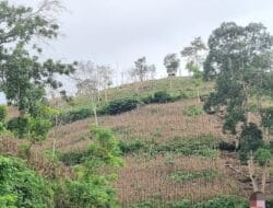 Alih Fungsi Lahan di Bone Ancam Kawasan Penyimpanan Air