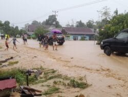 13 Kecamatan Terdampak Banjir di Luwu, 14 Korban Jiwa