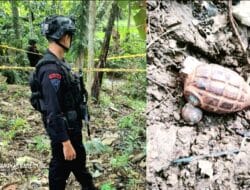 Granat Nanas Aktif Hebohkan Warga Lattekko Bone