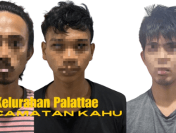 Tiga Pengedar Sabu di Bone Diciduk Polisi, Dua Diantaranya dari Palattae