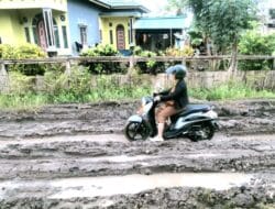 Akses Jalan di Bone Rusak Parah Jadi Penyebab Hasil Tani Dijual Murah