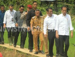 Jokowi Tinjau Program Pompanisasi Sawah Tadah Hujan di Bone