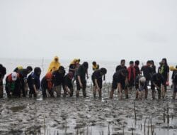 BPC Hipmi Bone Kolaborasi Puluhan Organisasi Gelar Penanaman Mangrove di Sibulue