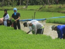 Tagihan PBB Melonjak, Petani Mengeluh