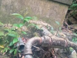 Diduga Serobot Tanah di Sikka, Suitbertus Amandus Disomasi