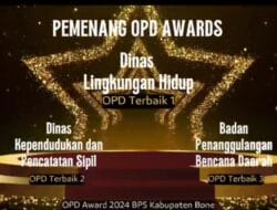 Genjot PAD Hingga Rp500 Juta, DLH Sabet Terbaik I OPD Award BPS