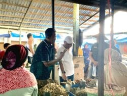 Ikan Teri dan Cawabup Bone Nomor Urut 2
