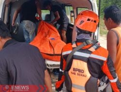 Chip Officer PT Bahtera Saleh Raya Tewas Tertimpa Kayu