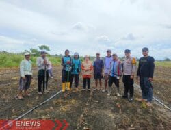 Asta Cita Presiden RI, Bhabinkamtibmas Polsek Belawa Tanam Jagung Bersama Masyarakat