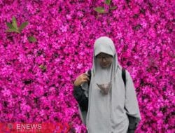 Menguak Fakta di Balik Romantisme Kurikulum Cinta