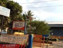 Bulog Bone Ditarget 11.427 Ton Serap Gabah, Petani Lainnya Harus ke Mana?