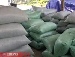 Gabah Petani Tidak Terserap Bulog, Warganet: Diperhatikan Bila Pilkada