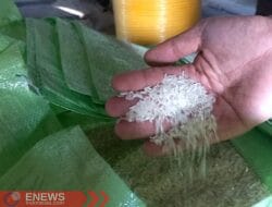 Perum Bulog Bone Akui Kewalahan Serap Gabah Petani