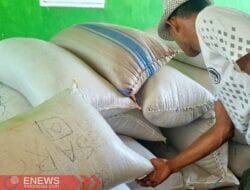 Curhat Petani di Libureng Bone, Sebut Bulog Tak Pernah Datang hingga Dugaan Curang di Gudang