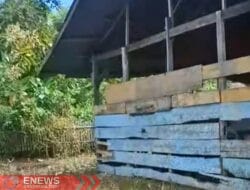 Sekolah di Wajo Mirip Kandang Sapi