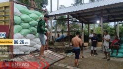 Serapan gabah petani dengan harga Rp6.500 perkilogram di Walimpong Kecamatan Bengo dikawal personel Babinsa