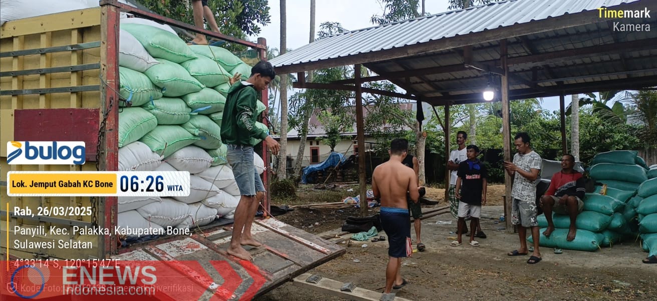 Serapan gabah petani dengan harga Rp6.500 perkilogram di Walimpong Kecamatan Bengo dikawal personel Babinsa