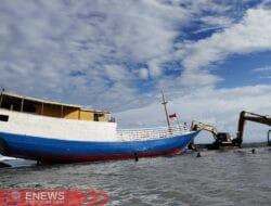 Kapal Barang Diduga Langgar Aturan Angkut Sapi di Majene