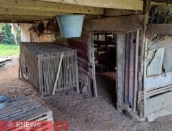 Polisi Periksa Korban dan Saksi Kasus Maling Ayam di Pancaitana