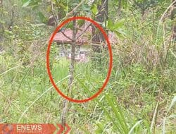 Diduga Tempat Maksiat, TNGM Jurangjero Disoroti Wisatawan 