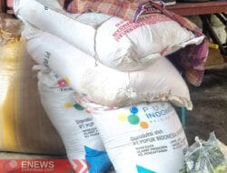 Musim Tanam 2025, Stok Pupuk Subsidi di Bone Capai 11.626 Ton