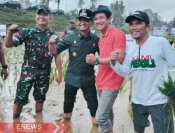 Dihadiri Bupati Bone, Kades Samaenre Bengo Gelar Tanam Padi Perdana