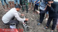 Foto: Mayat bayi dalam kondisi mulai membusuk ditemukan warga di samping Mall BTC Bone. Foto: Mayat bayi dalam kondisi mulai membusuk ditemukan warga di samping Mall BTC Bone.