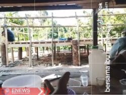 Taruhan Puluhan Juta, Judi Sabung Ayam di Desa Sadar Bone Diduga Dibekingi Oknum Polisi